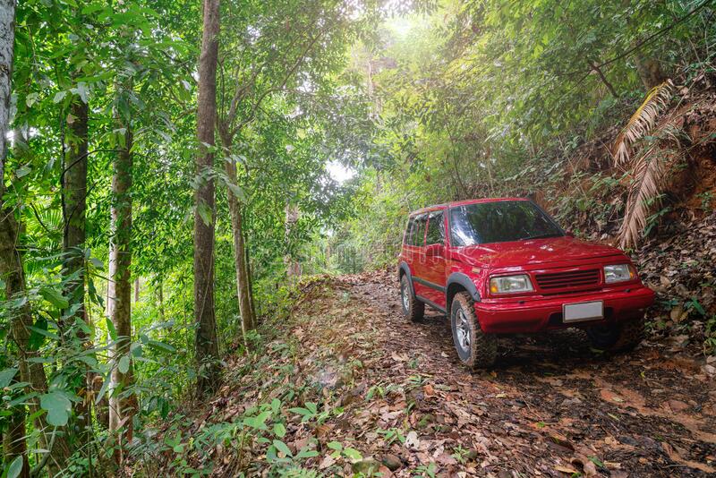 Thanks to Our Obsession with SUVs, Pristine Nature is Crumbling